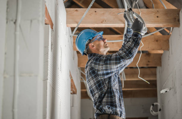 Best Electrical Upgrades for Homes  in Zeigler, IL