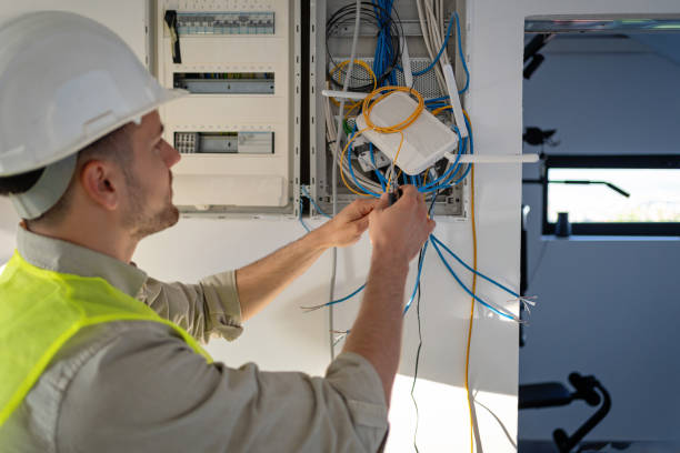 Best Electric Panel Repair  in Zeigler, IL